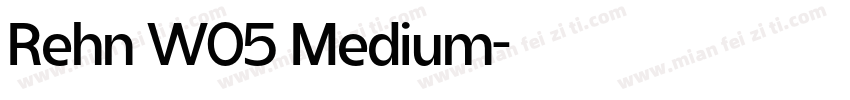 Rehn W05 Medium字体转换